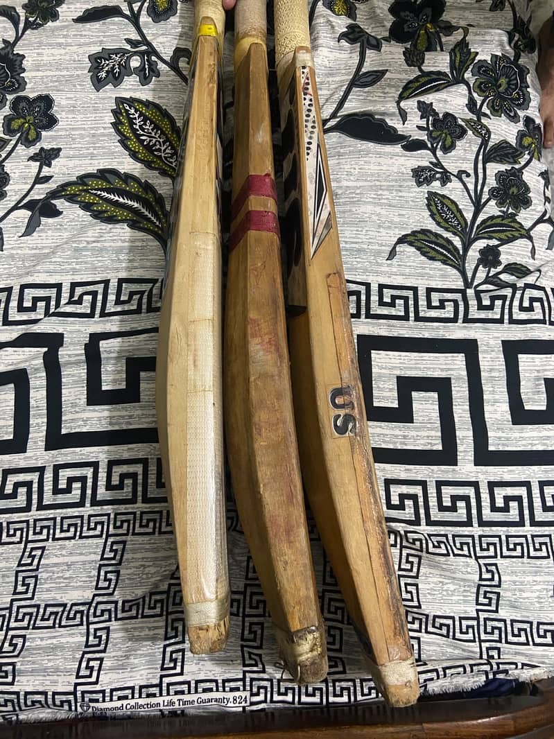 Cricket bat 2