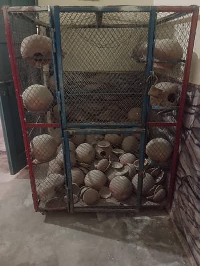 iron cage