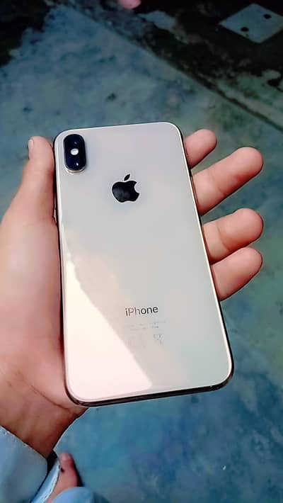 Apple iPhone X