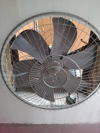 air cooler