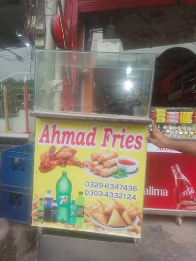 12 ltr fryer