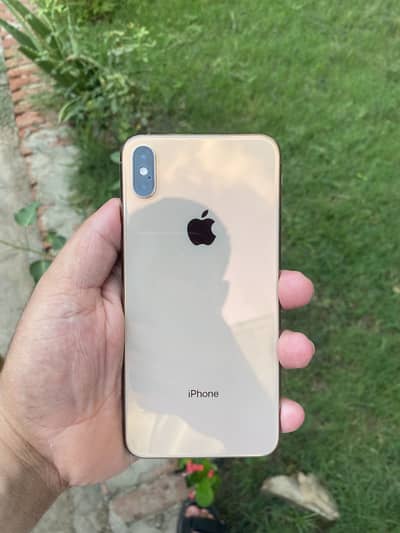 iPhone XS Max PTA Approved 64 GB