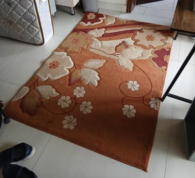 warm cozy carpet