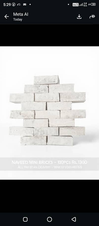 zh mini bricks