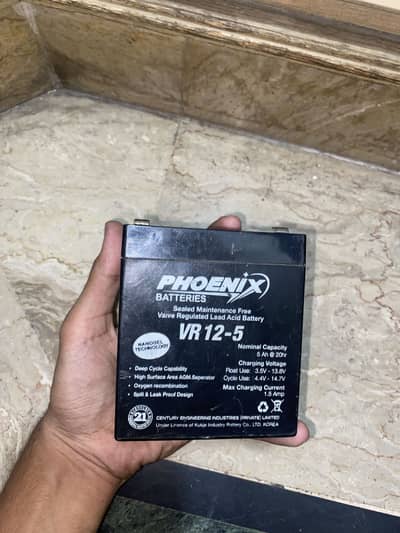 Phoenix 12v dry battery