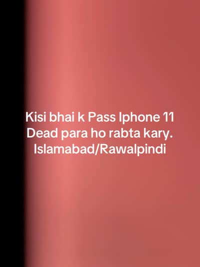 Apple iPhone 11
