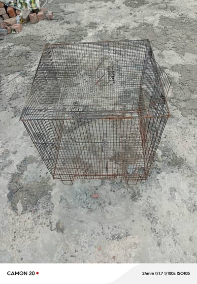Hens cage