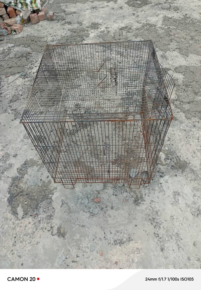 Hens cage 0