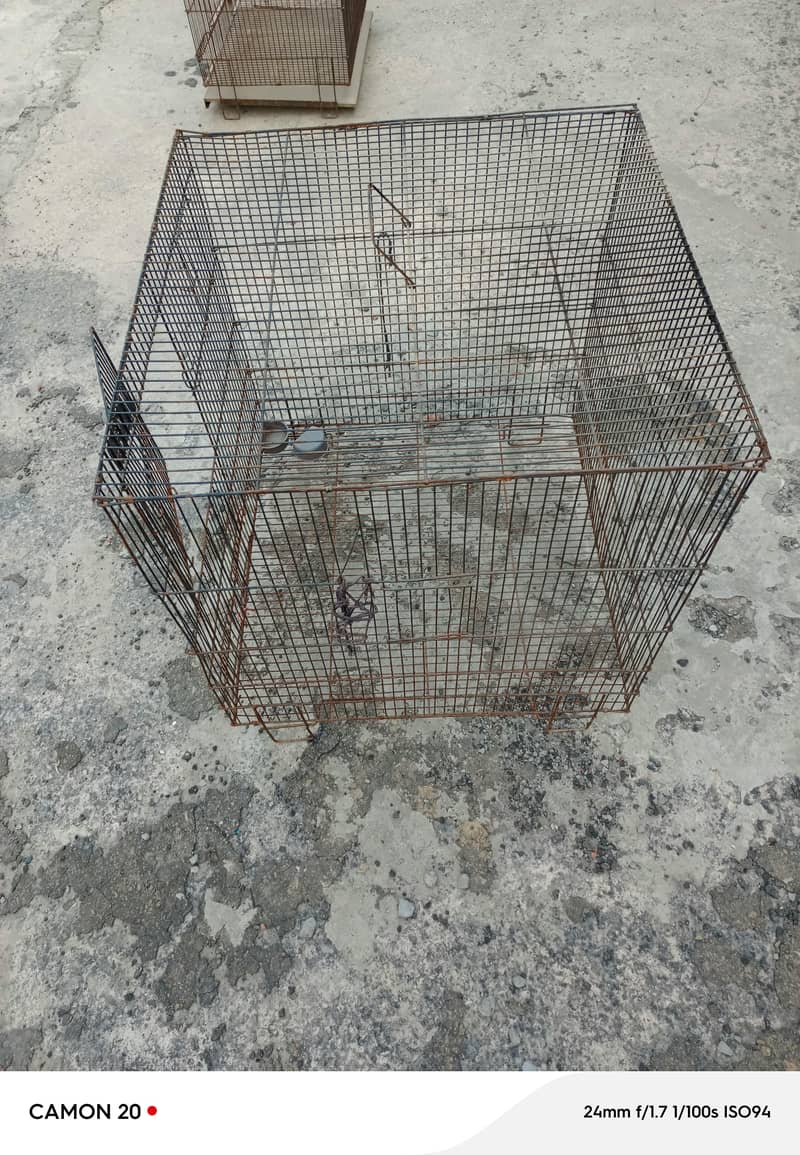 Hens cage 1