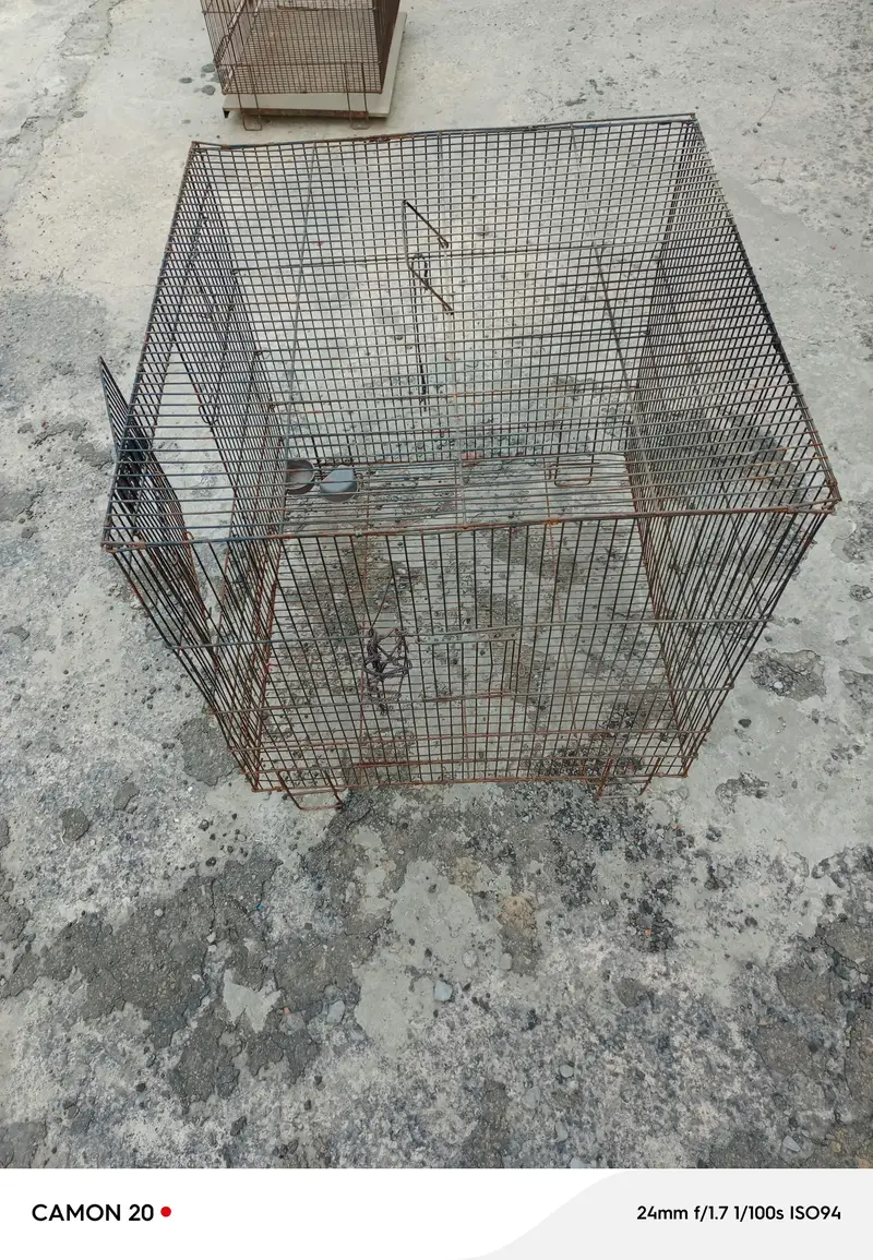 Hens cage — photo 2