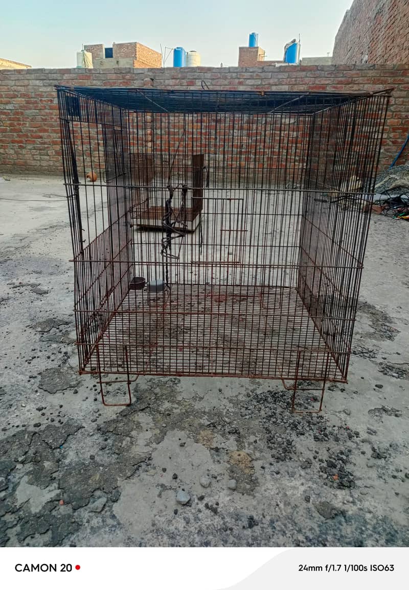Hens cage 2