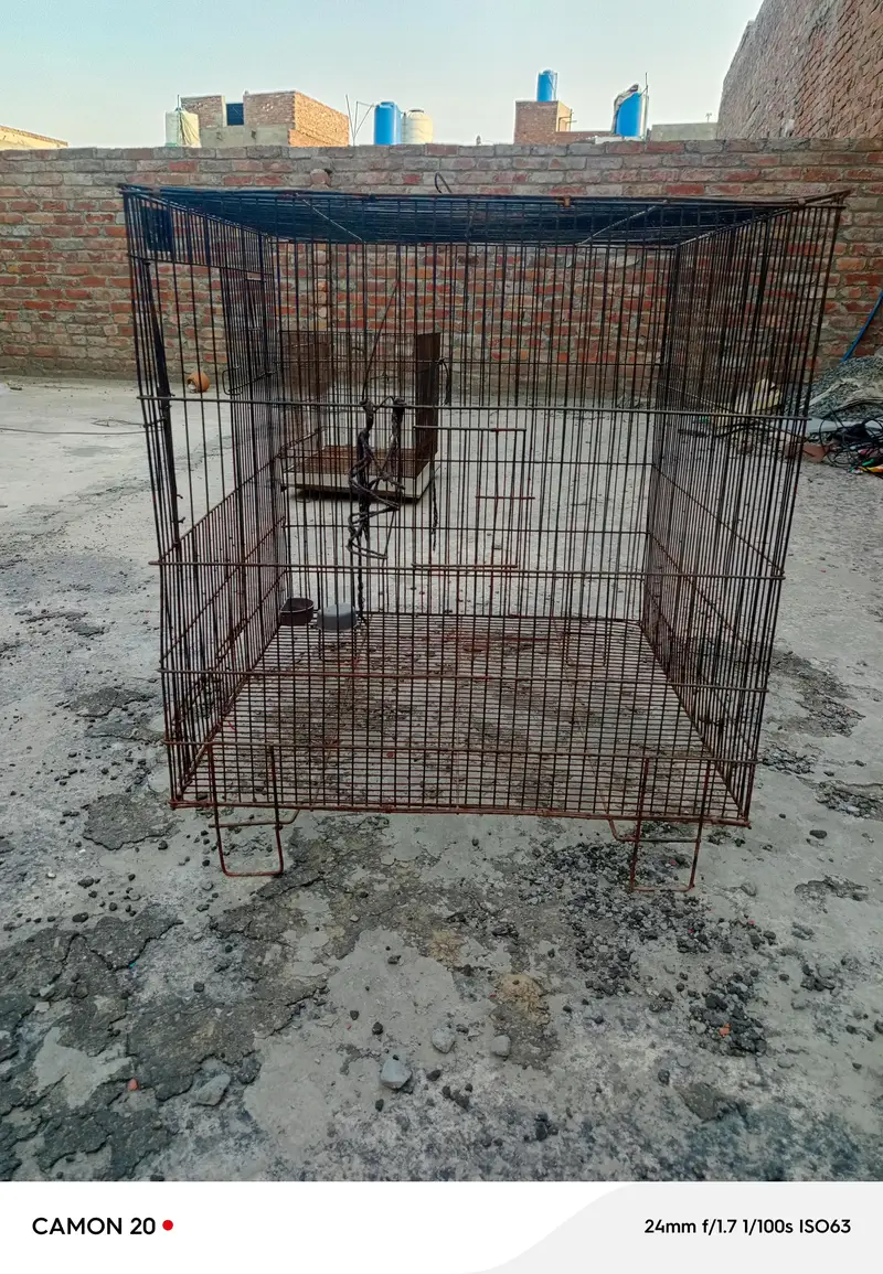 Hens cage — photo 3