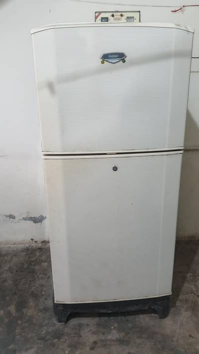 Hair Fridge 2 door full size