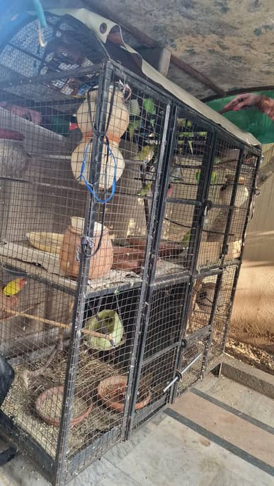 Premium Bird & Chicken Cage – Strong & Spacious