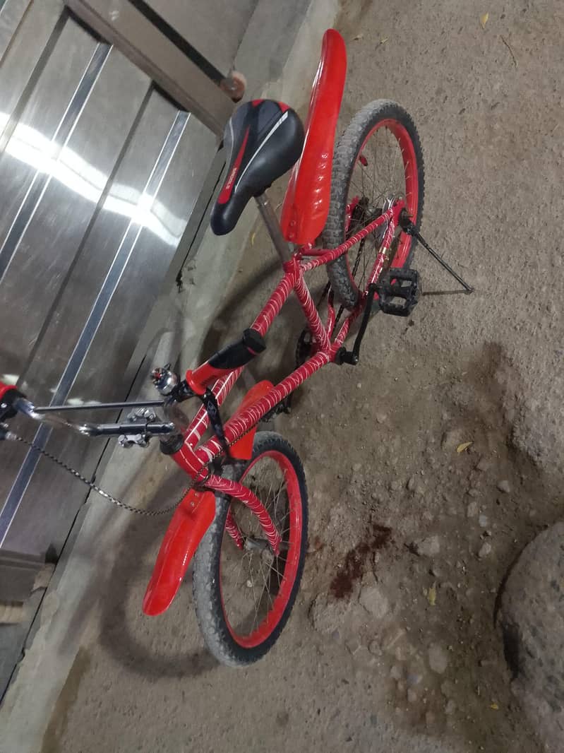 cycle 2