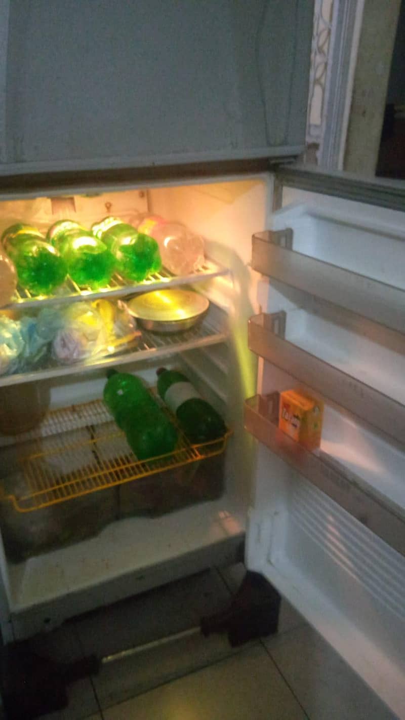 Fridge 1