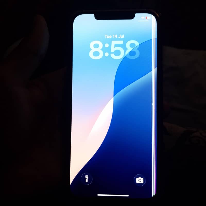 Apple iPhone 12 Pro Max 1
