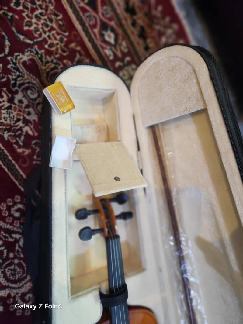 Violin 4