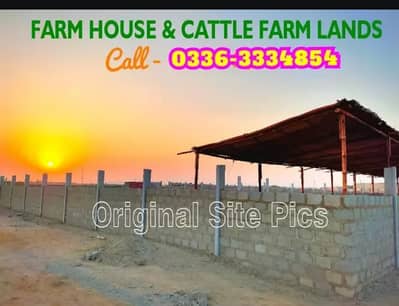 Farm house plot