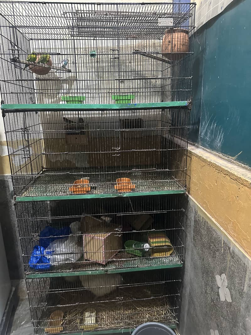 Cage 8 portion 0