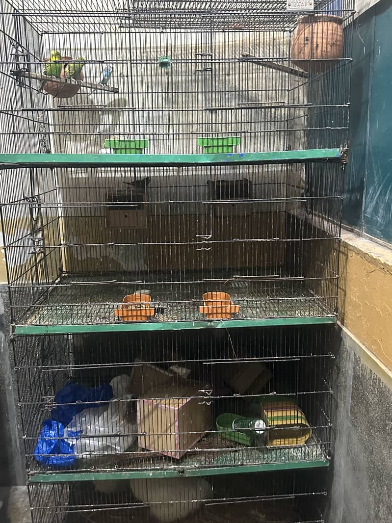 Cage 8 portion 1