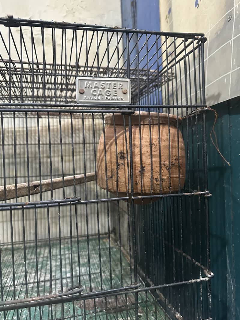 Cage 8 portion 2
