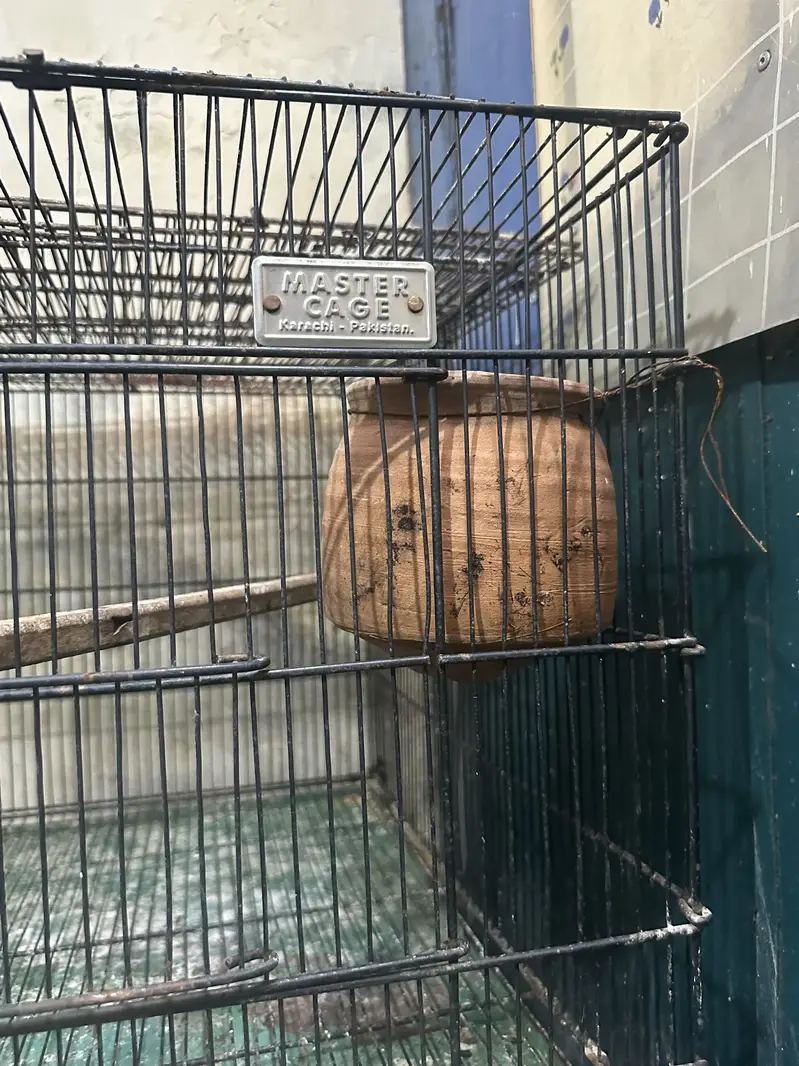 Cage 8 portion — photo 3