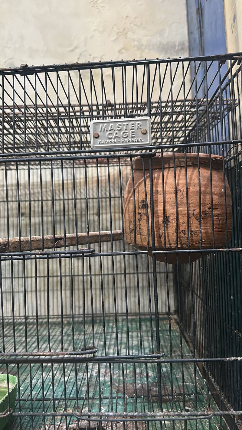 Cage 8 portion 3