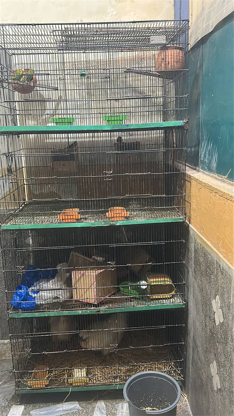 Cage 8 portion 4