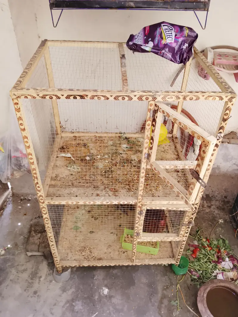 hen cage for sale — photo 2