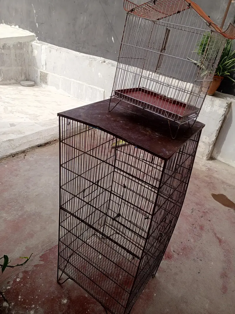 cages — photo 2