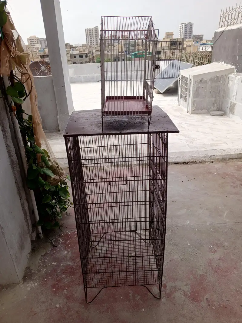 cages — photo 3