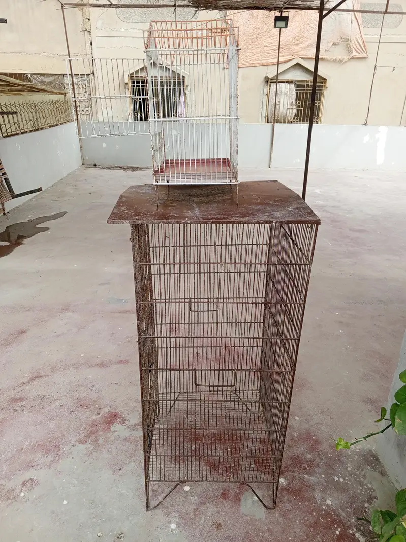 cages — photo 4