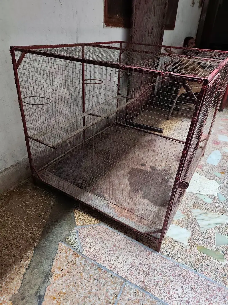 Cage for sale — photo 3