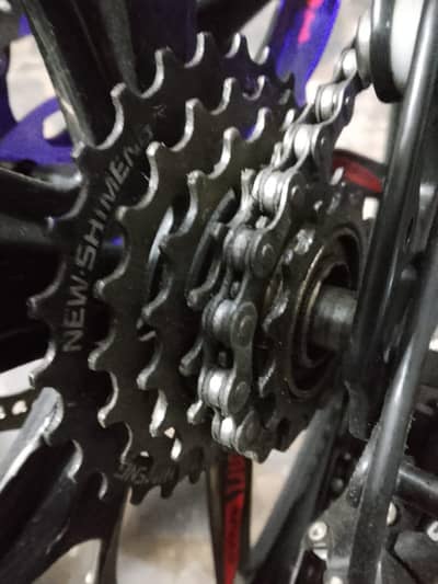 sport cycle