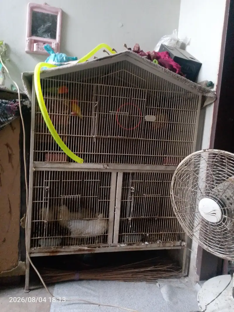 pegnse wthe cage — photo 5