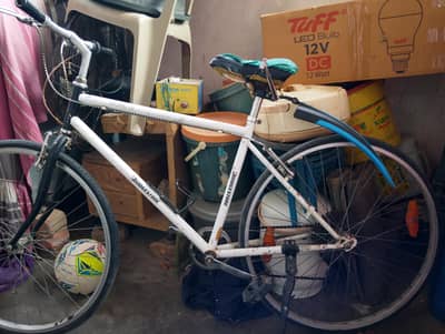 japani sports cycle