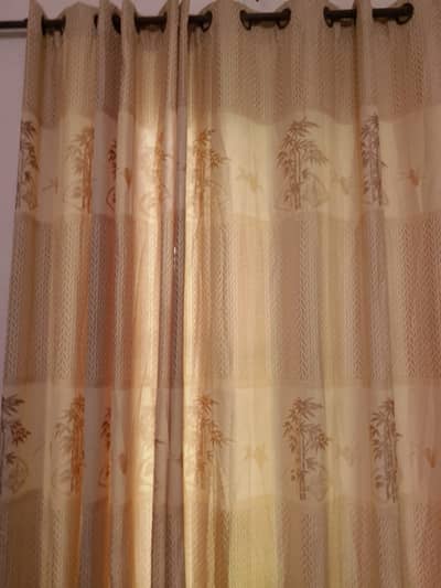 Curtain for sale