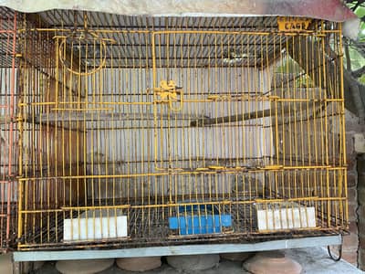 Single portion 2 cage for sale, contact 03077965568