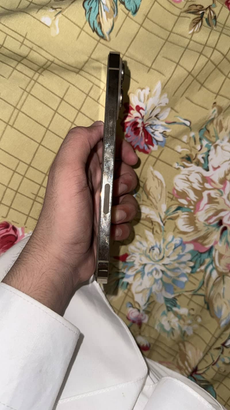 iPhone 13 Pro Max 3
