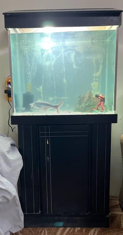 aquarium
