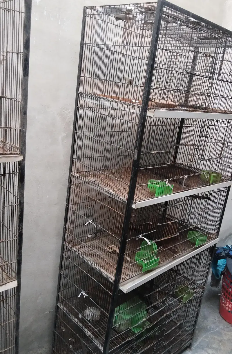 3 cages for sale — photo 2