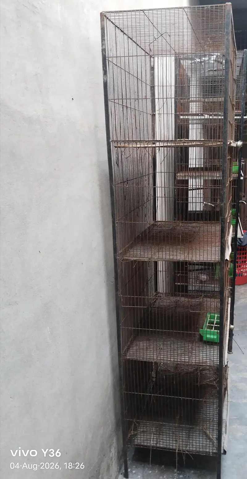 3 cages for sale — photo 4