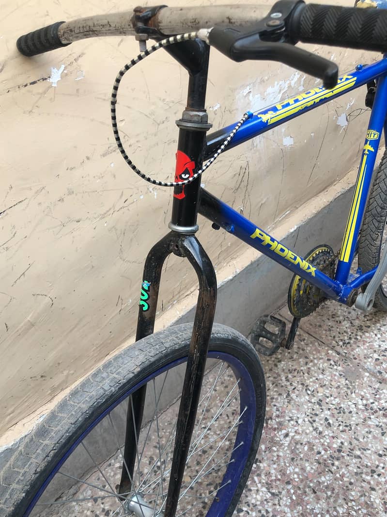 phonix cycle 1