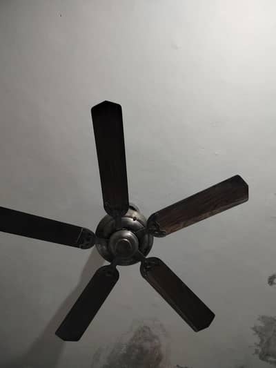 5 blades fancy fan for sale