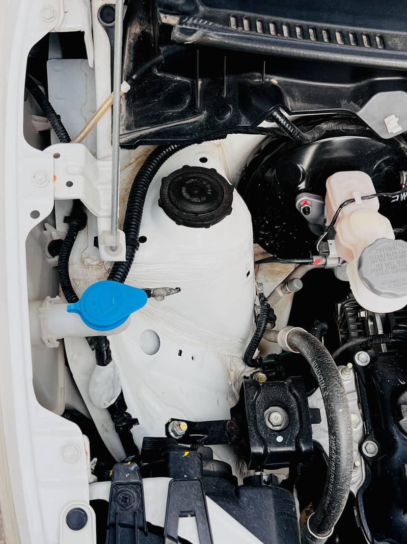 suzuki 5