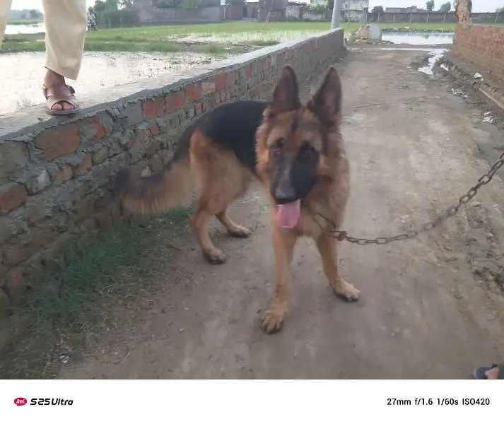 kamar ka ha — photo 4