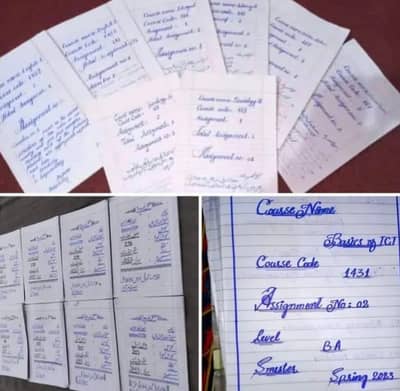 Hand Writing Assignment Work Available