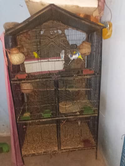 bird cage