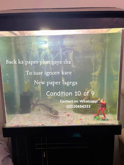 Aquarium Argent Sale